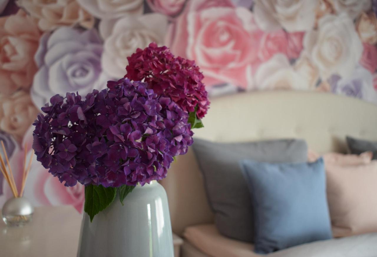 Apartment Rose Sasbachwalden Eksteriør billede